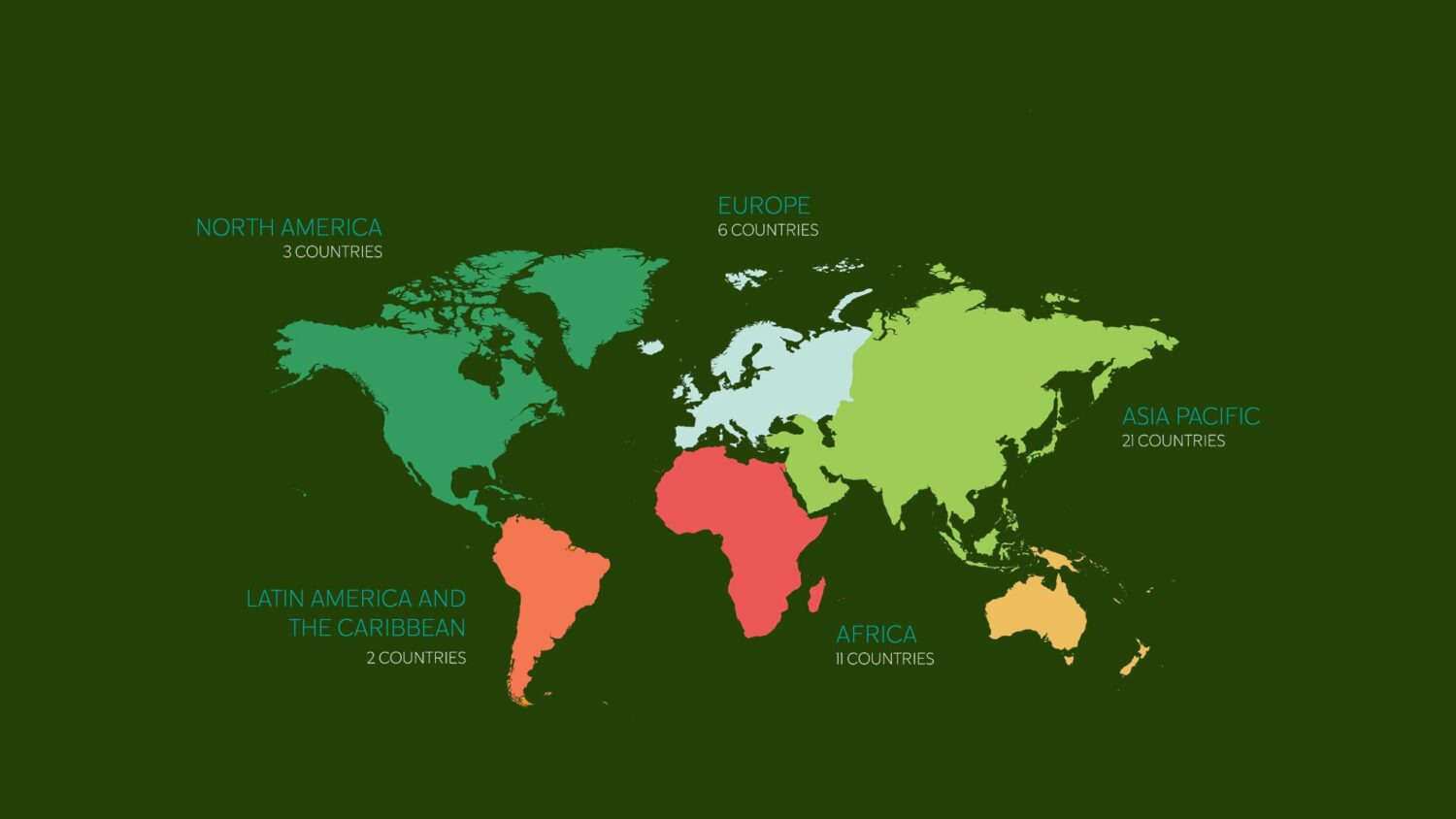 South-South Cooperation